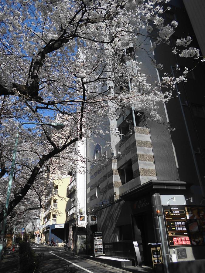 Moana Otsuka (adults Only) Tokio